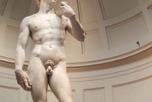 Firenze: Inngangsbillett til Accademia-galleriet og omvisning med David
