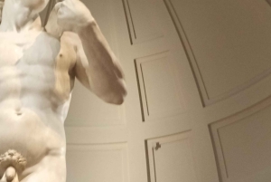 Firenze: Inngangsbillett til Accademia-galleriet og omvisning med David