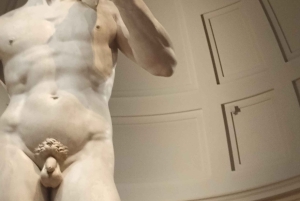 Firenze: Inngangsbillett til Accademia-galleriet og omvisning med David