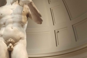 Firenze: Inngangsbillett til Accademia-galleriet og omvisning med David