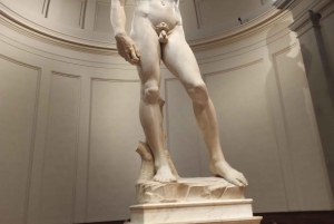 Firenze: Inngangsbillett til Accademia-galleriet og omvisning med David