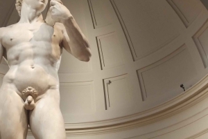 Firenze: Inngangsbillett til Accademia-galleriet og omvisning med David