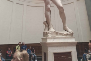 Firenze: Inngangsbillett til Accademia-galleriet og omvisning med David