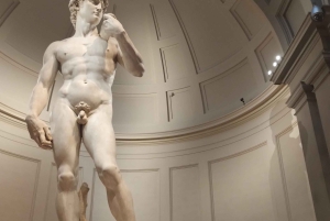Firenze: Inngangsbillett til Accademia-galleriet og omvisning med David