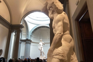 Флоренция: входной билет в Галерею Академии с возможностью экскурсии