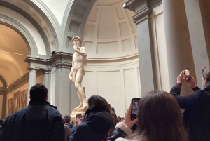 Флоренция: входной билет в Галерею Академии с возможностью экскурсии