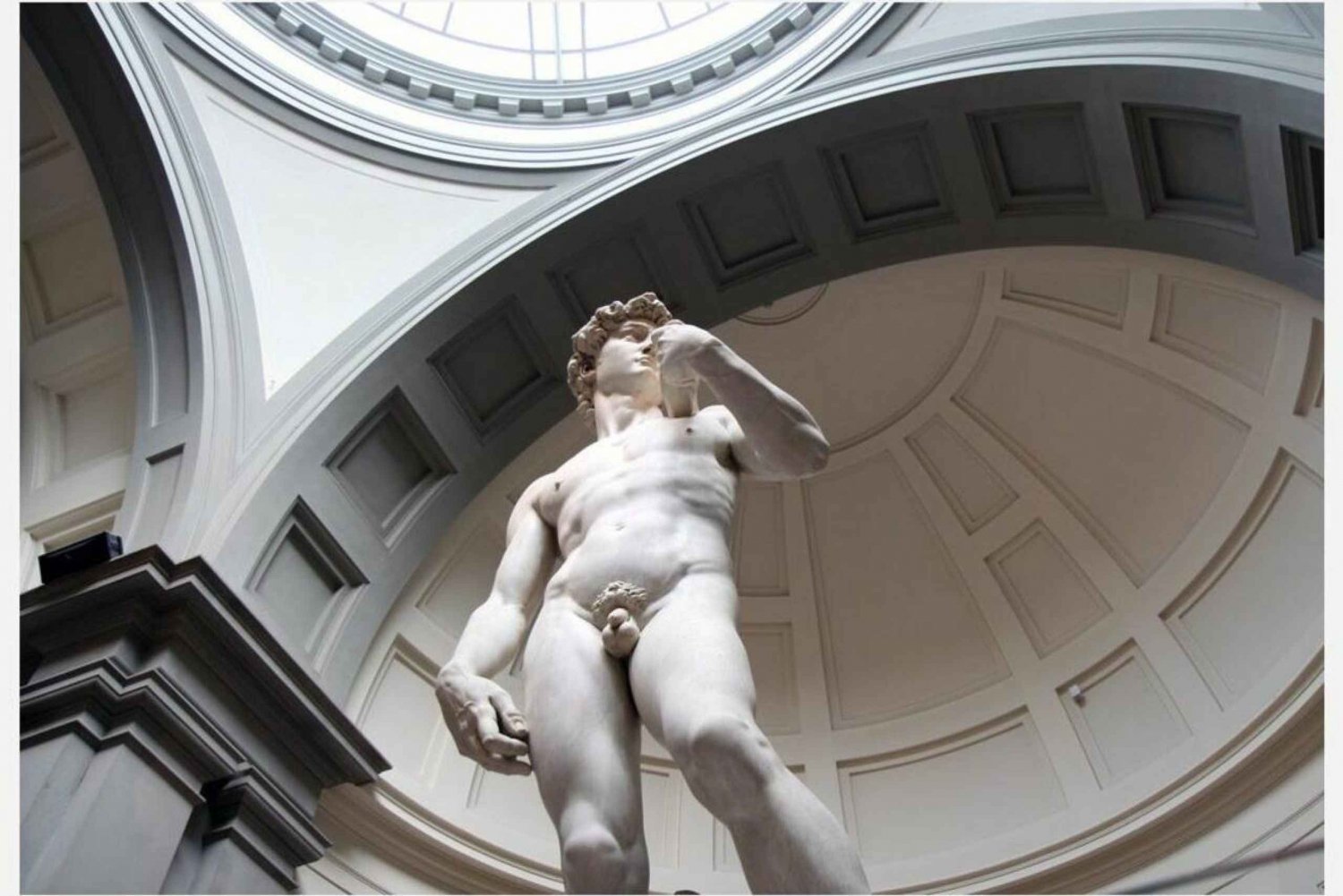 Firenze: Accademia Galleria opastettu kierros taideasiantuntijan kanssa.