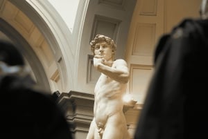 Florence: Accademia Gallery Guided Tour with an Art Expert