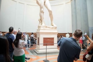 Firenze: Accademia Galleria opastettu kierros ja pääsylippu: Accademia Galleria Opastettu kierros ja pääsylippu