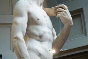 Firenze: Accademia Galleria opastettu kierros ja pääsylippu: Accademia Galleria Opastettu kierros ja pääsylippu