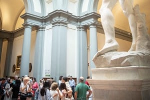 Firenze: Accademia Galleria opastettu kierros ja pääsylippu: Accademia Galleria Opastettu kierros ja pääsylippu
