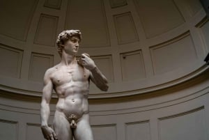 Firenze: Accademia Galleria opastettu kierros etuoikeutetulla sisäänpääsyllä.