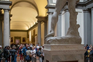 Florença: Visita guiada à Galeria da Academia com acesso prioritário
