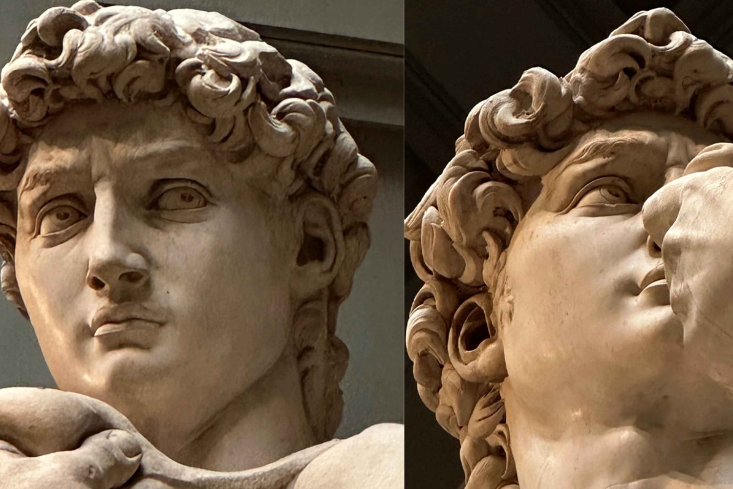 Firenze: Tour guidato della Galleria dell'Accademia