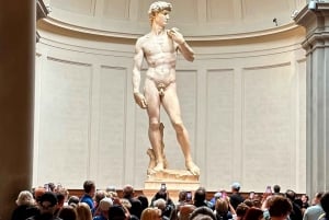Firenze: Accademia Galleria Opastettu kierros