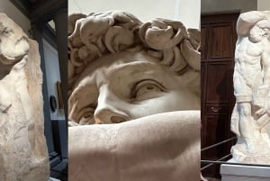 Firenze: Tour guidato della Galleria dell'Accademia