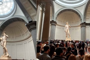 Firenze: Tour guidato della Galleria dell'Accademia