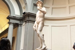 Firenze: Biglietto d'ingresso prioritario alla Galleria dell'Accademia con eBook