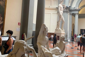 Florence: Accademia Gallery Private Guided Tour