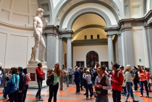 Florence: Accademia Gallery Private Tour