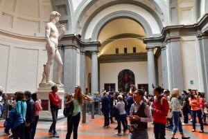 Florence : Visite privée de la Galerie de l'Accademia