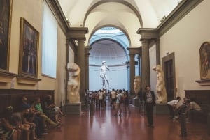 Firenze: Privat tur til Accademia-galleriet