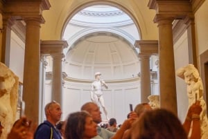 Firenze: Tour privato della Galleria dell'Accademia
