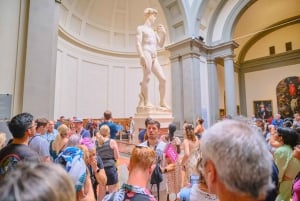 Florence: Accademia Galerij privétour