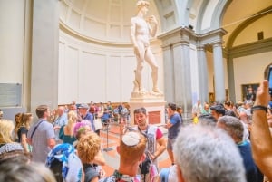 Firenze: Privat tur til Accademia-galleriet