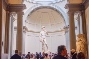 Firenze: Privat omvisning i Accademia-galleriet