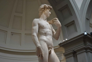 Rondleiding Florence: Michelangelo's David met voorrangstoegang