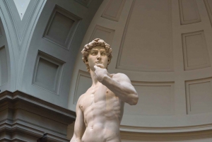 Firenze: Accademia Gallery David Entry & Audio Guide App