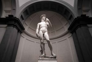 Florenz: Accademia Galerie Ticket ohne Anstehen mit Gastgeber