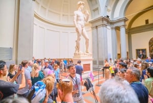 Florence : Galerie de l'Accademia Visite guidée en coupe-file