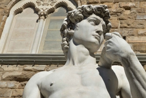 Florens: Galleria dell'Accademia med köföreträde – tur i liten grupp