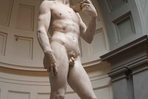 Florença: Ingresso sem fila ou tour pela Galeria da Academia