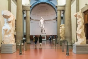 Firenze: Biglietto per la Galleria dell'Accademia con audioguida opzionale