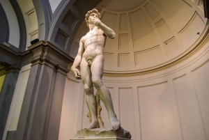 Firenze: Accademia Galleria -lippu ja valinnainen ääniopas
