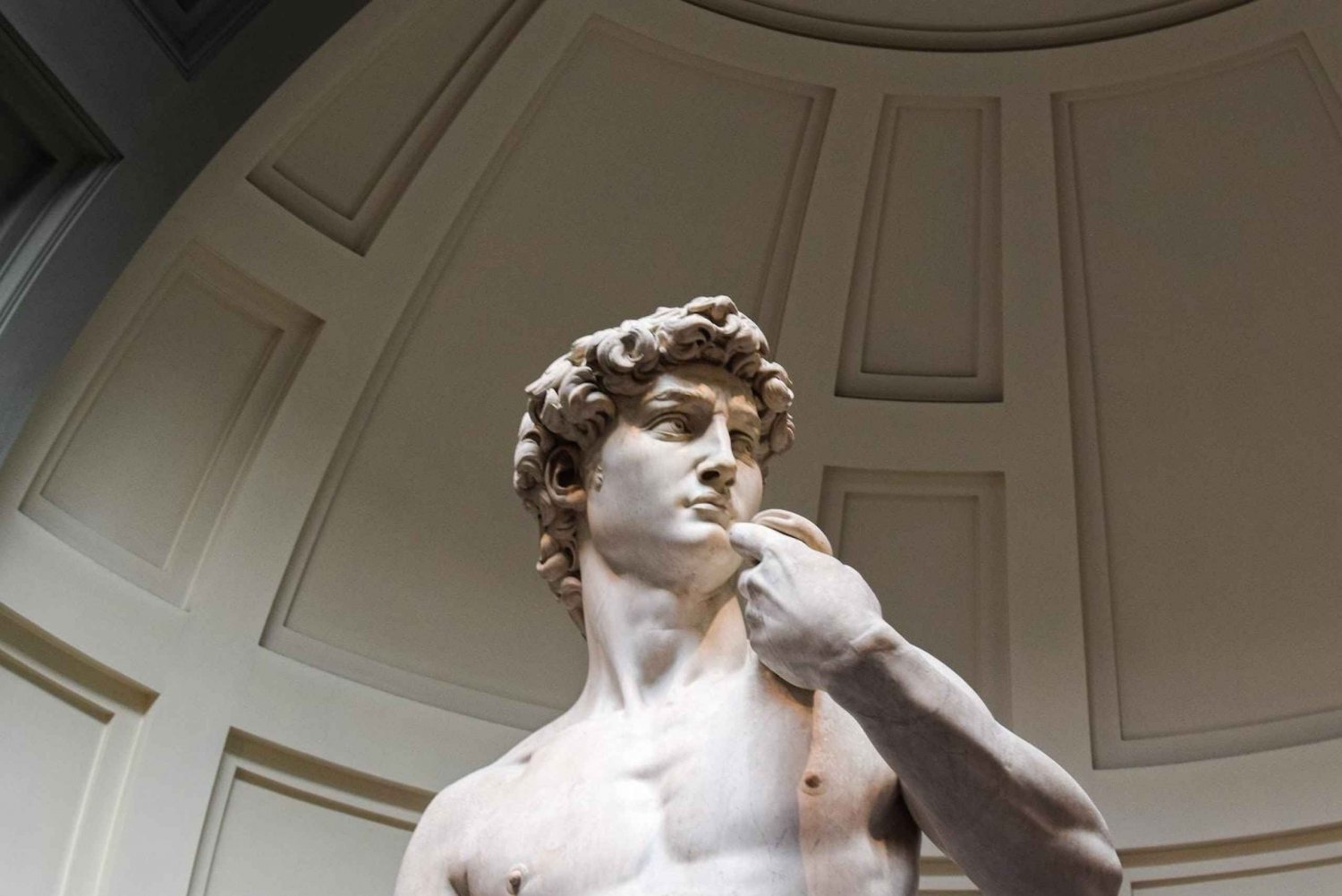 Firenze: Tour della Galleria dell'Accademia con biglietti di ingresso prioritari