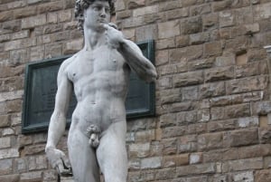 Firenze: Accademia opastettu kierros Skip-the-Line-lippuineen.