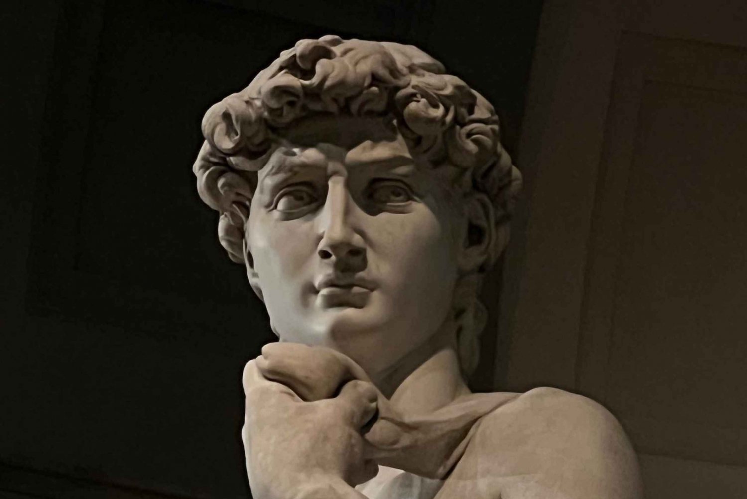 Firenze: Michelangelon Daavid: Accademia Reserved Ticket & Michelangelo's David