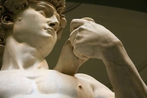 Florence : Billets d'entrée à la Galerie Accademia et visite guidée de David
