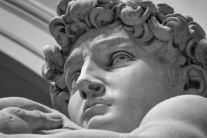 Firenze: Inngangsbillett til Accademia-galleriet og guidet tur med David