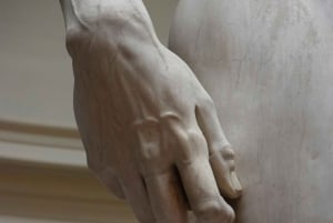 Firenze: Inngangsbillett til Accademia-galleriet og guidet tur med David