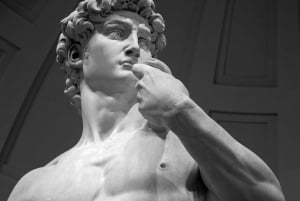Florence: Accademia Galerij toegangsbewijs & rondleiding door David