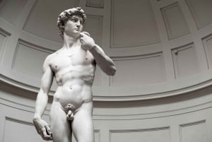 Florens: Inträdesbiljett till Accademia-galleriet & guidad rundtur med David