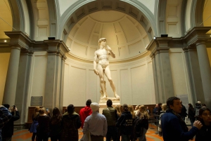Florence: Accademia met getimede toegang – Michelangelo's David en app