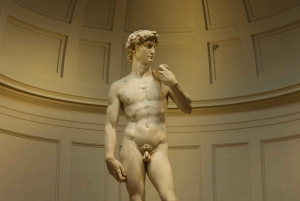 Florence: Accademia met getimede toegang – Michelangelo's David en app
