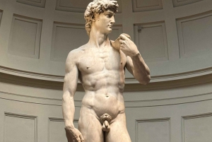 Florence: Accademia met getimede toegang – Michelangelo's David en app