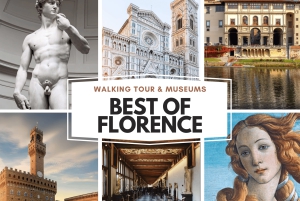 Firenze: Accademia, Uffiziene og byvandring i sentrum